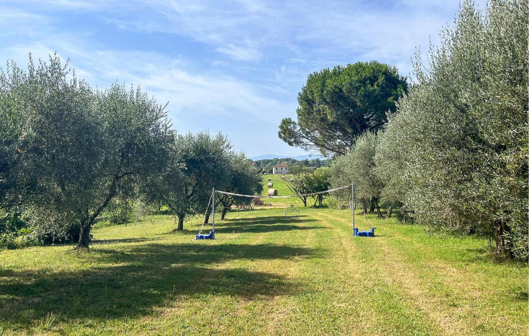 Lovely Apartment In Tuoro Sul Trasimeno With Wifi ภายนอก รูปภาพ